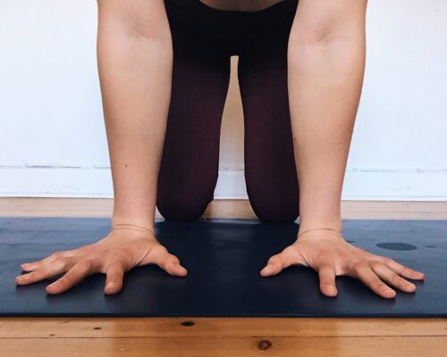 Camilla showing her hand placement in handstand alignment with the index fingers parallel