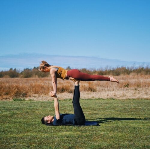 https://camillamia.com/wp-content/uploads/2020/03/bird-4-500x498.jpg?utm_source=chatgpt.com