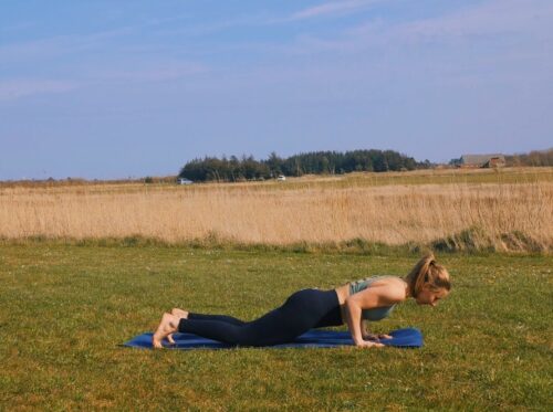 A yoga chaturanga arm strengthener