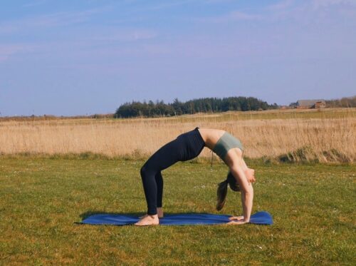 Wheel yoga pose in a field with sunlight