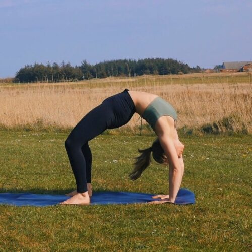 Upward Bow Pose (Urdhva Dhanurasana): How to Do, Benefits and Precautions -  Fitsri Yoga