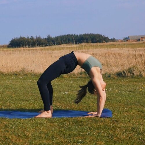 Chakrasana or Urdhva Dhanurasana (Upward Bow OR Wheel Pose)